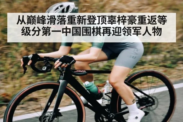 从巅峰滑落重新登顶辜梓豪重返等级分第一中国围棋再迎领军人物